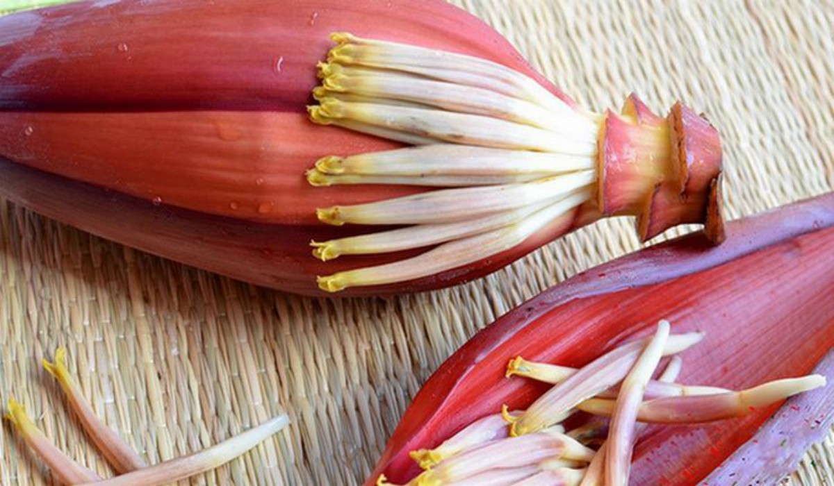 5 Most Remarkable Health Benefits of Eating BANANA FLOWER