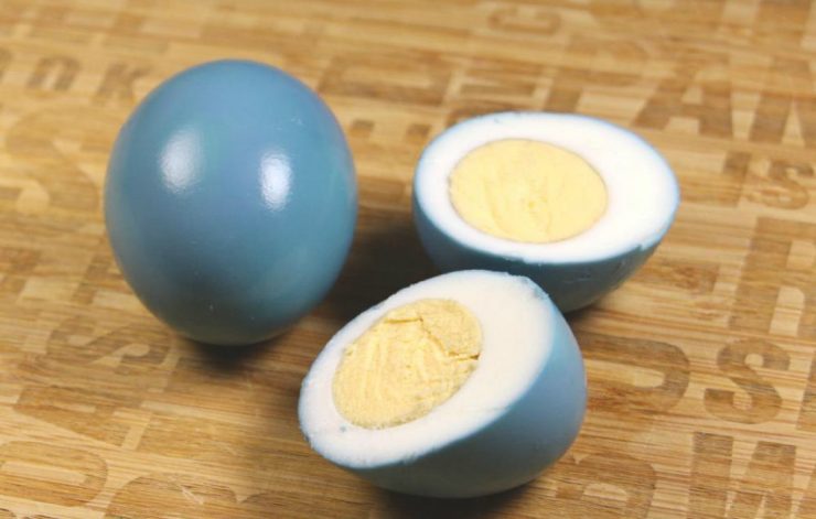 Blue Eggs! 3 Unbelievable Chicken Breeds That Lay Them