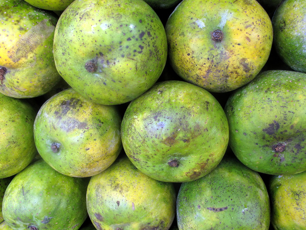 Top 10 Best Tasting Yummy Mangoes of India You Should Know