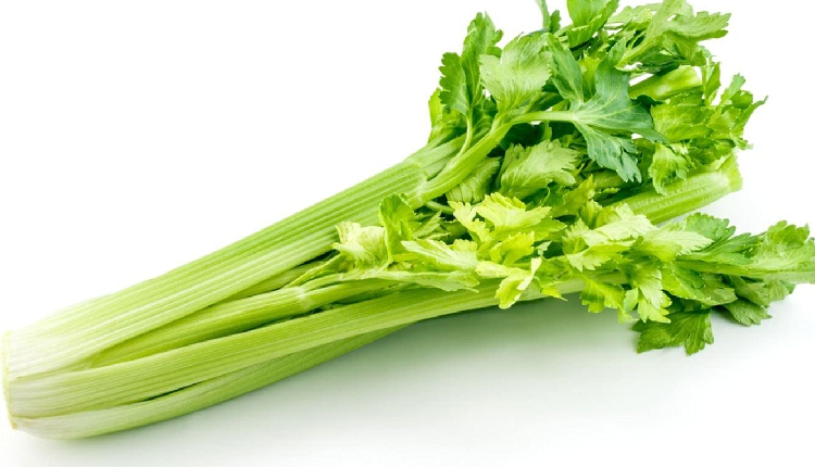Know the benefits of celery