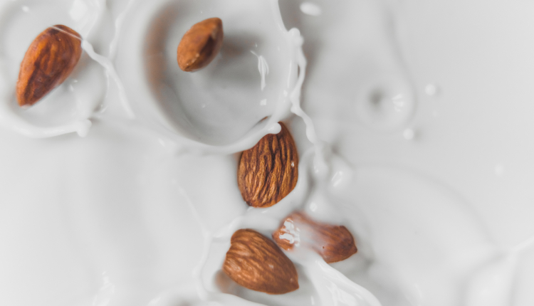 Plant-based milk recipes