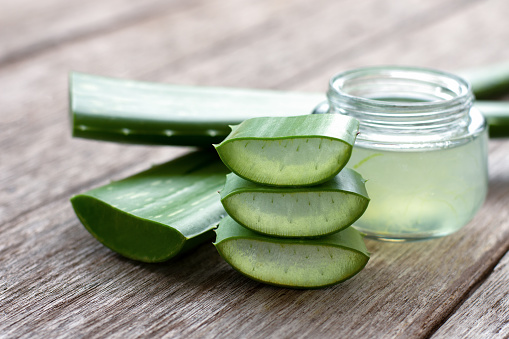 Aloe vera