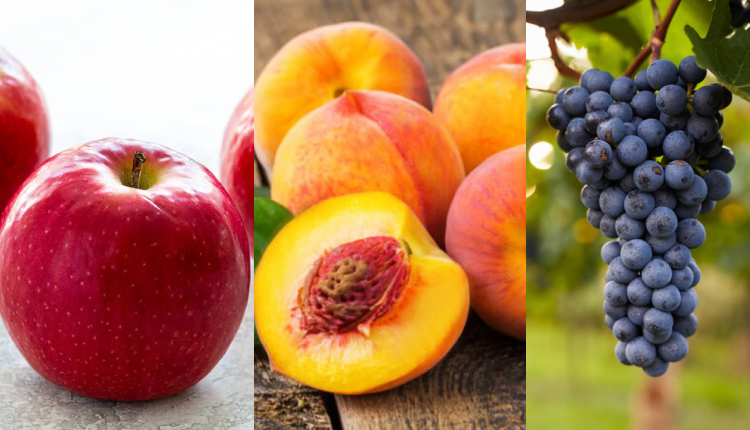 5 Must-Have Fruits to Fortify Breast Health