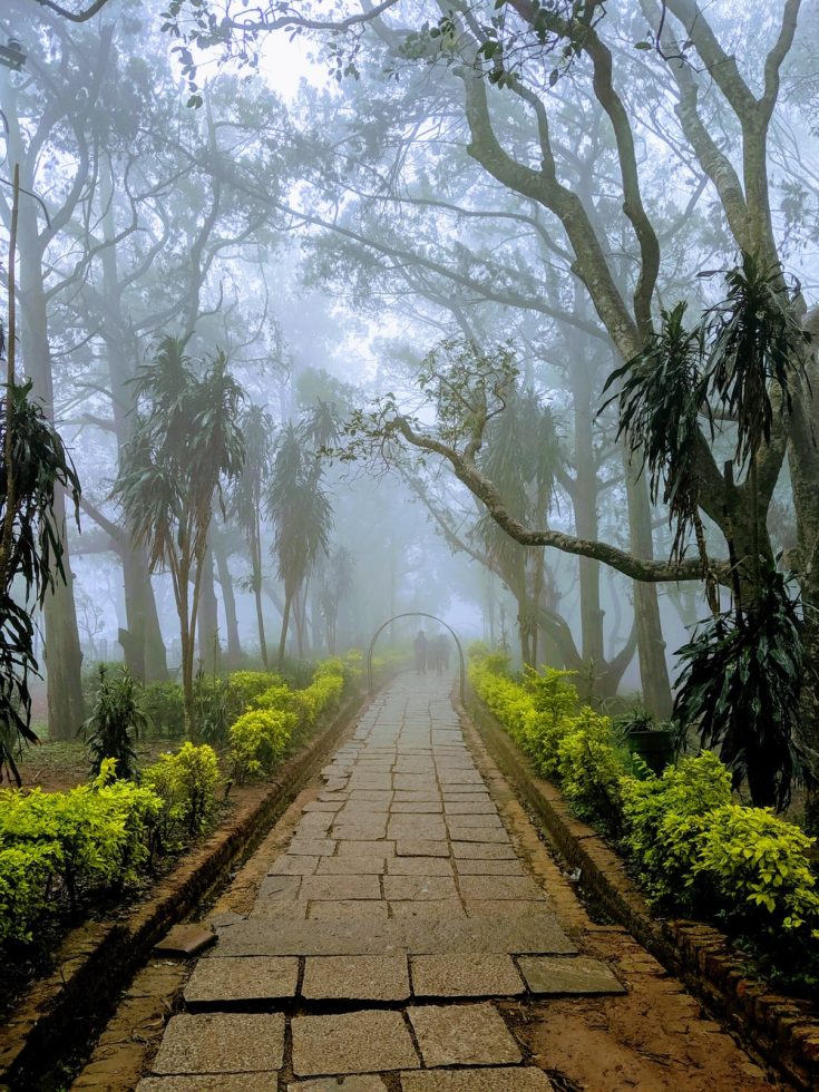 Nandi Hills - Top 4 Instagrammable Spots in India