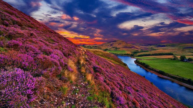 Valley of flowers - Uttarkhand