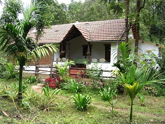 Rainforest Retreat Eco-lodge - Karnataka 