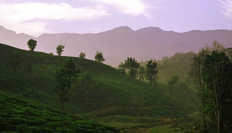 Wayanad