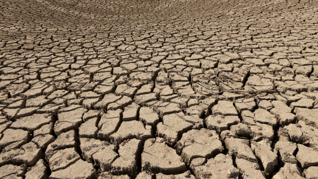 World Day of Desertification and Drought