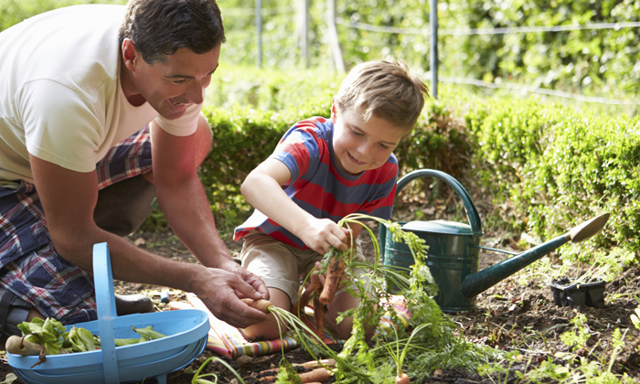 dad doing gardening