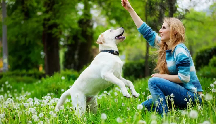 Can Spending Time with Your Pets Ease Your Stress?
