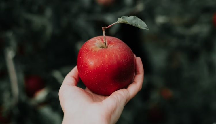 5 Powerful Benefits of Apple Diet Including Weight Loss
