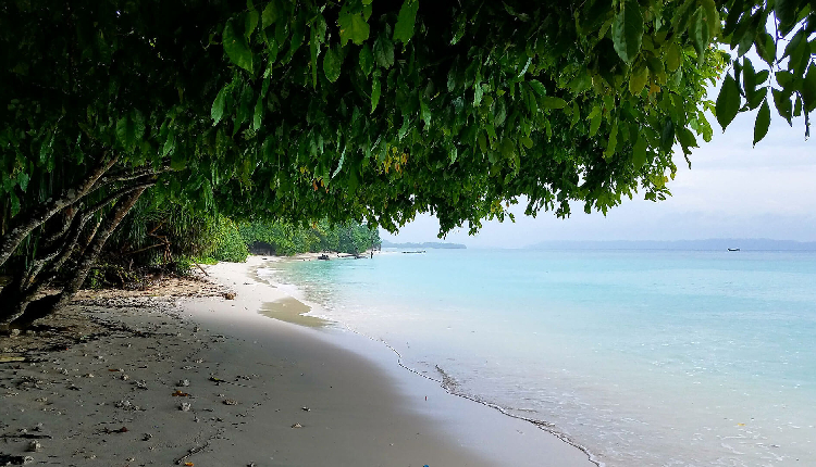 Radhanagar Beach, Andaman (Havelock) Islands