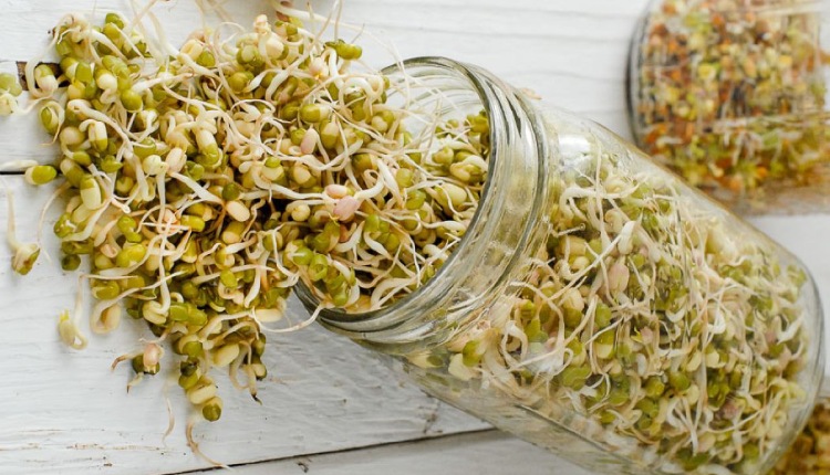 6 Fantastic Beauty Benefits of Consuming Sprouts