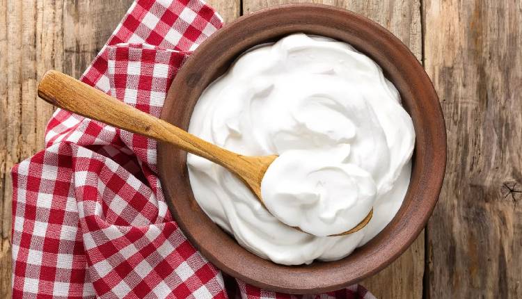 What Happens When You Add Curd to Your Diet?