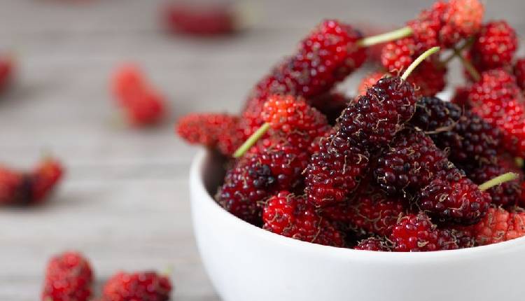 Top Beauty Benefits of Mulberry Fruit