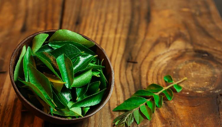 How to Get the Most Out of Curry Leaves?