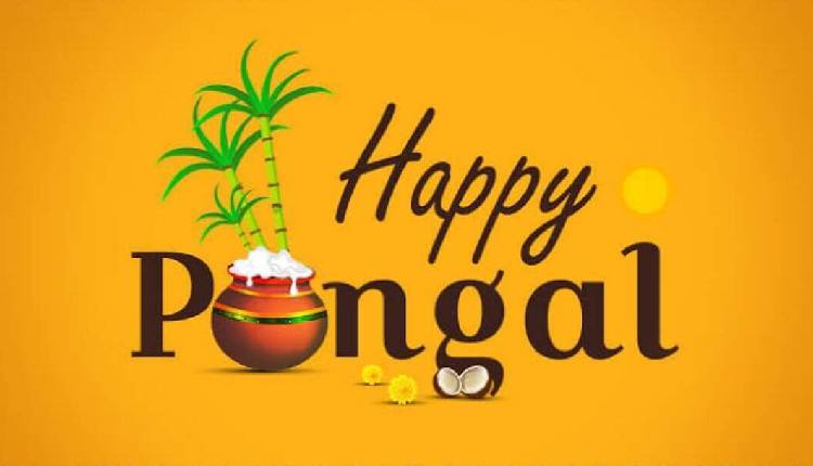 Things to do on this Pongal Weekend