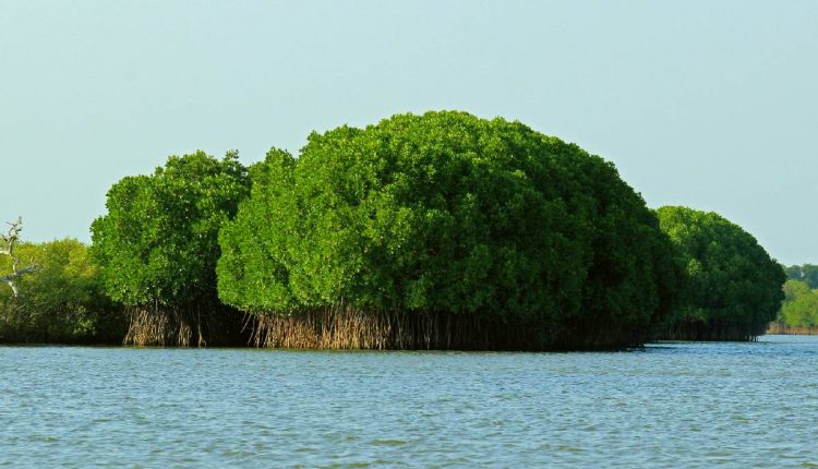 4 Spectacular Places to Check Out On ECR