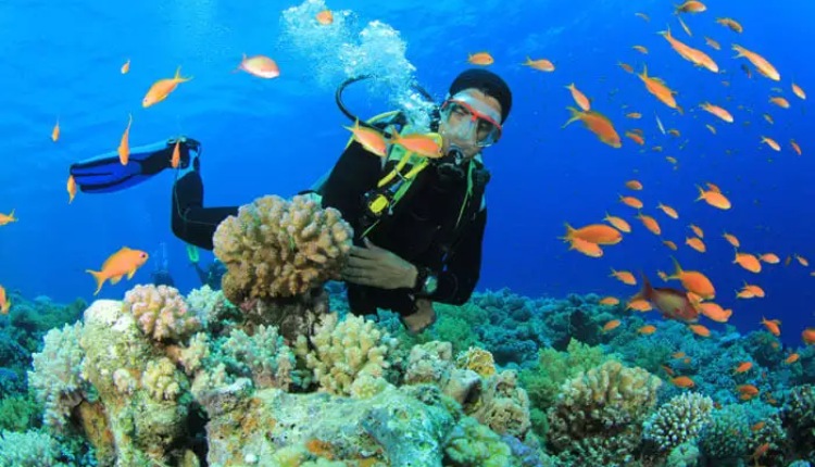 Hear Here the Reasons Why You Should Try Scuba Diving In India
