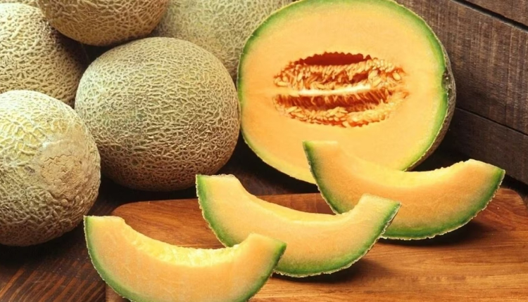 Muskmelon