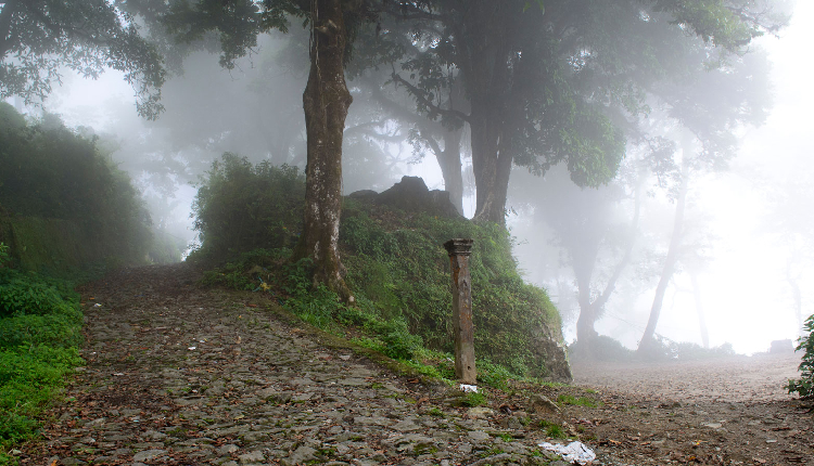 All you need to know about haunted Dow Hill at Kurseong Darjeeling