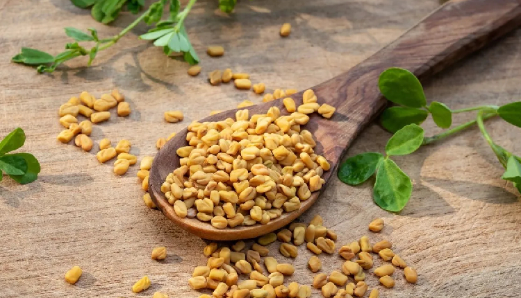 Fenugreek