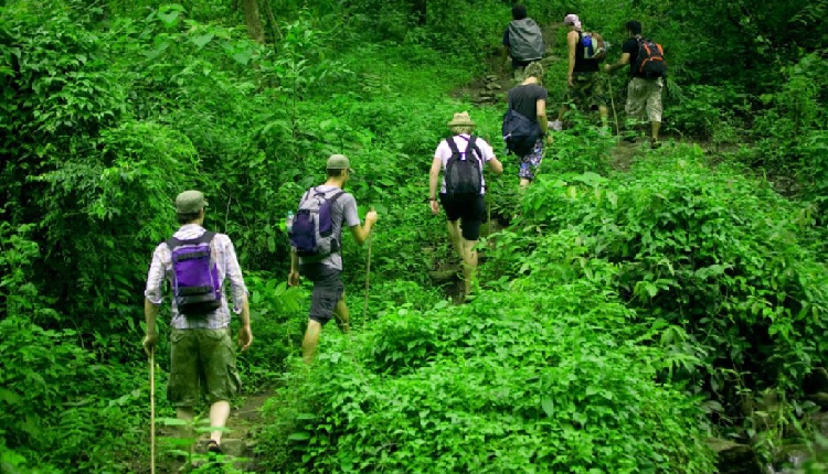 5 Most Beautiful Forest Trekking Destinations In India Waiting For You