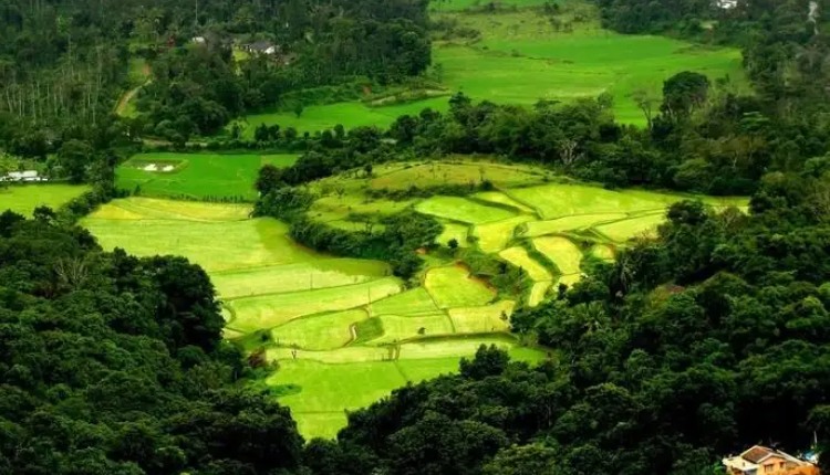 Coorg, Karnataka