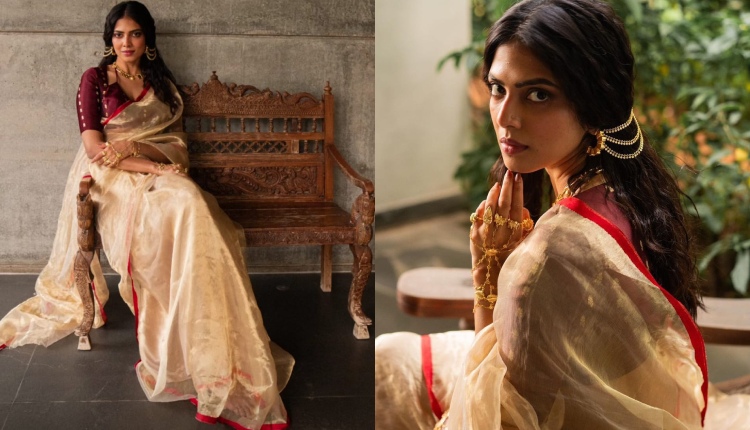 Malavika Mohanan Stuns in a Captivating Saree Look: A Celebration of Elegance 