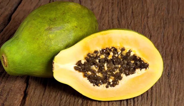 Unripe Papaya