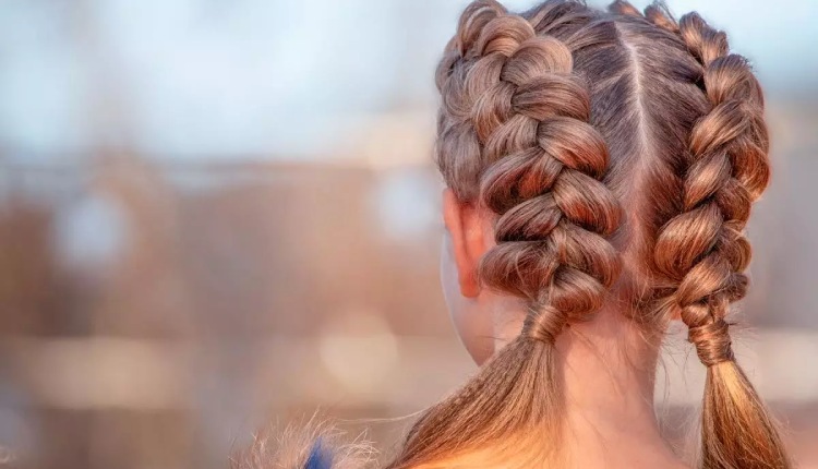 Braided double Dutch pigtails hairstyle