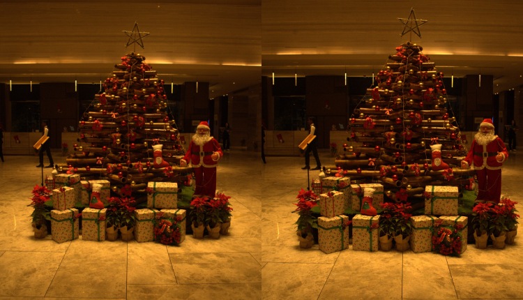 Sheraton Grand Bengaluru Whitefield Hotel and Convention Center celebrates Christmas spirit with its annual Christmas Tree lighting event
