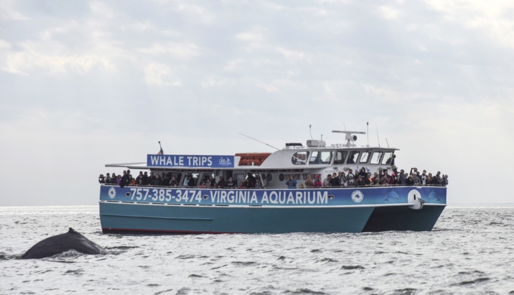 Virginia Aquarium