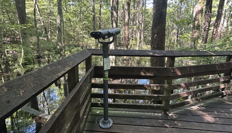 First Landing State Park