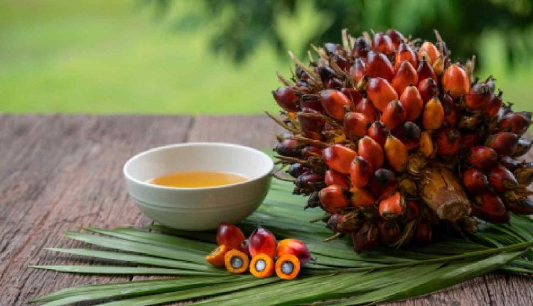 Palm Oil: A Nutritional Ally for Women’s Health