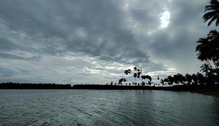 Nellimedu Dam