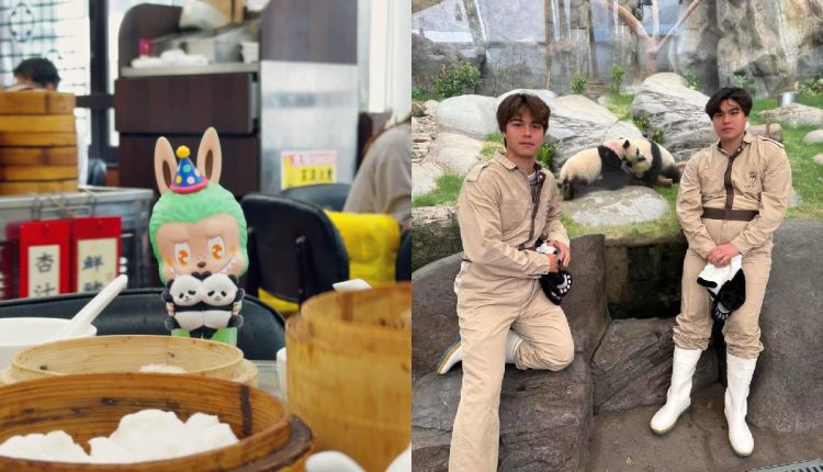 Much-Loved Panda Twins