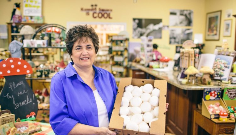 40th Annual Mushroom Festival