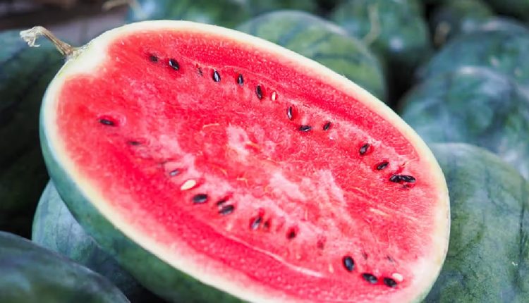 WatermelonSeeds