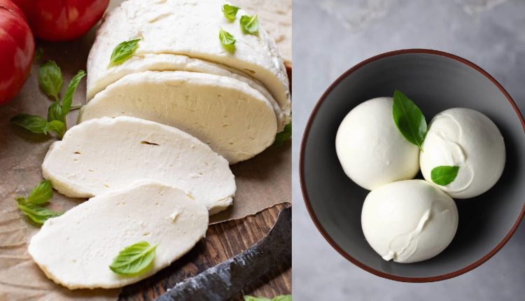 Mozzarella Cheese