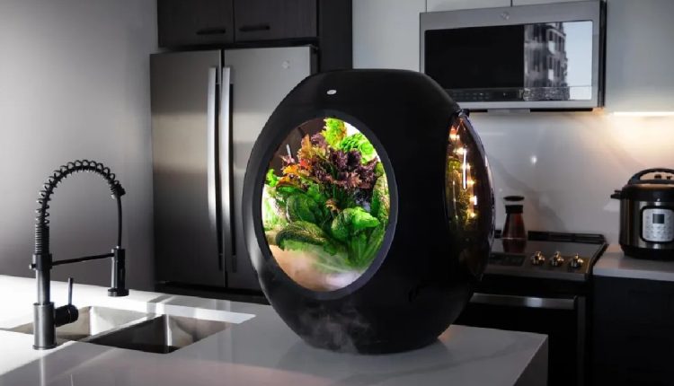 Smart Home Gadgets 2025