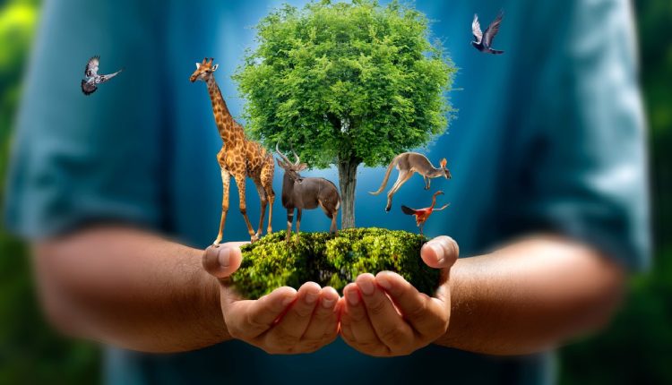 Rise of Plant-Based Beauty