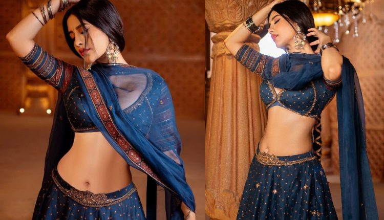 Blue Lehenga Set for Women