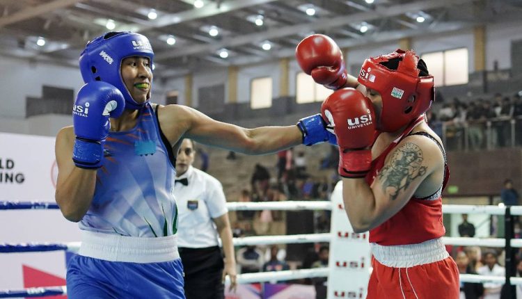 Senior National Boxing