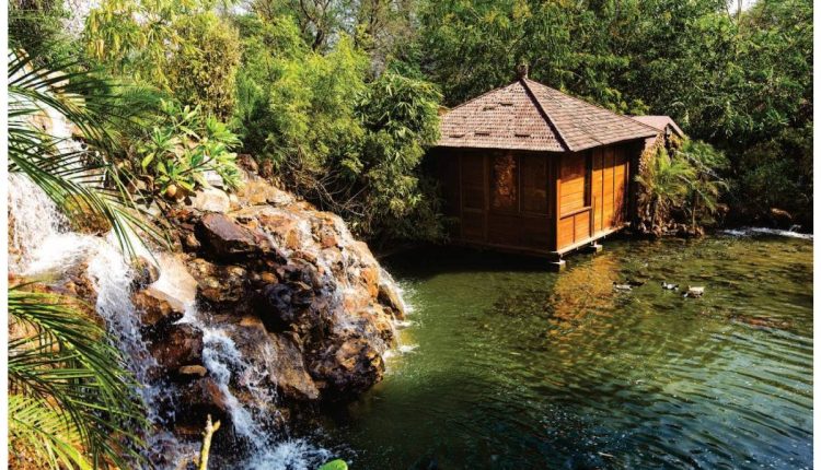 The Tree House Resort Jaipur