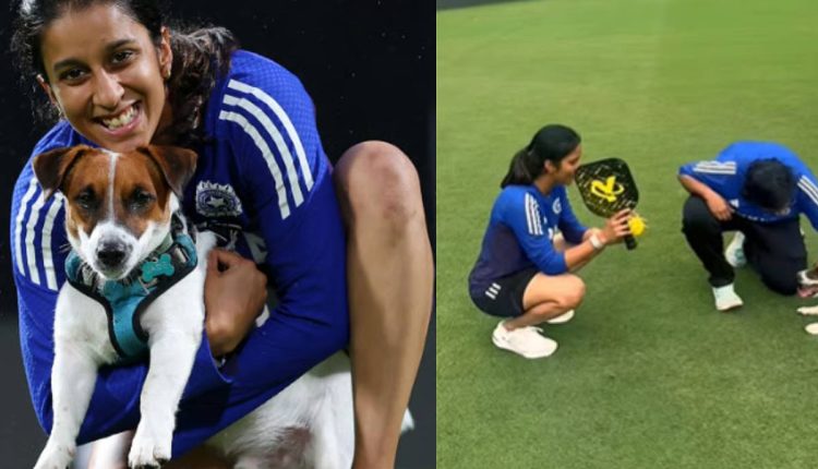 Category-leader in dog food