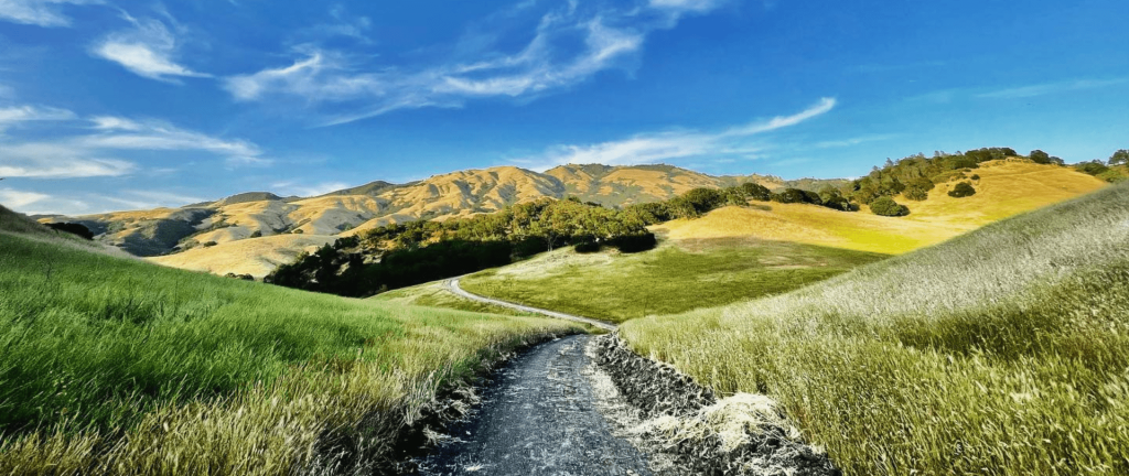 Mt. Diablo State Park, located in the Tri-Valley region of California, is home to a variety of outdoor recreational activities, unique geological landmarks, rare plant and animal species, and 20,000 acres of explorable terrain.