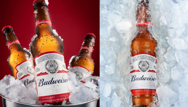 Budweiser beer