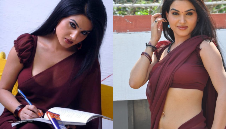 Burgundy Saree Elegance